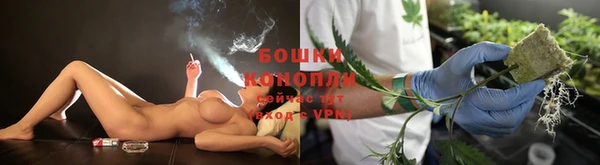 гашик Инсар