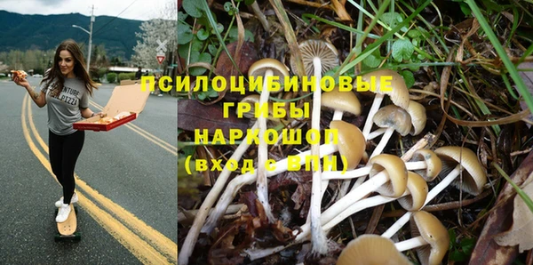 трава Абинск