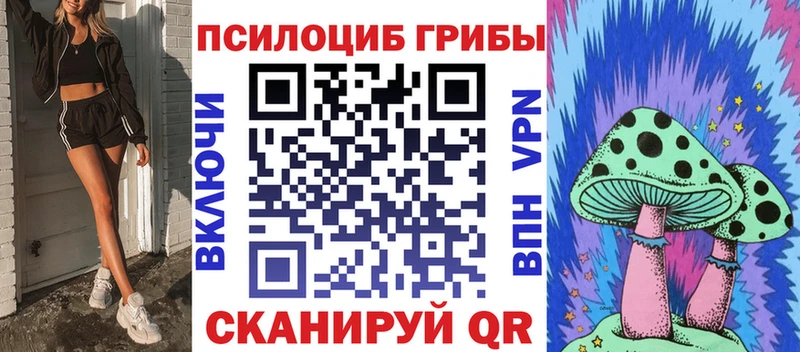 Псилоцибиновые грибы Psilocybe  Урус-Мартан 